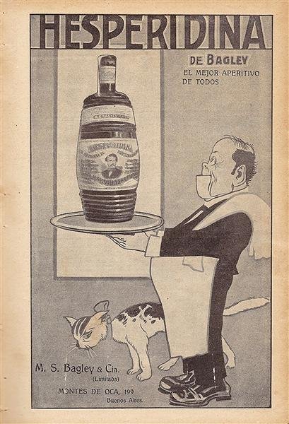 Bebidas